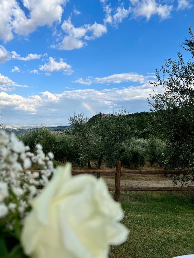 Agriturismo Belagaggio Montefollonico Eksteriør billede