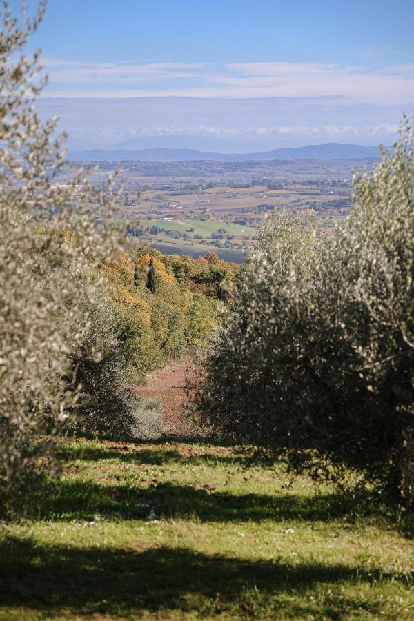 Agriturismo Belagaggio Montefollonico Eksteriør billede